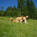 Farm stay Forsterhof *