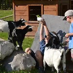 Forsterhof Farm stay Ramsau am Dachstein