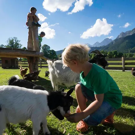 Forsterhof Ramsau am Dachstein