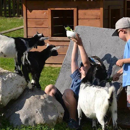 Forsterhof مزرعة للإقامة رامساو أم داتشستين