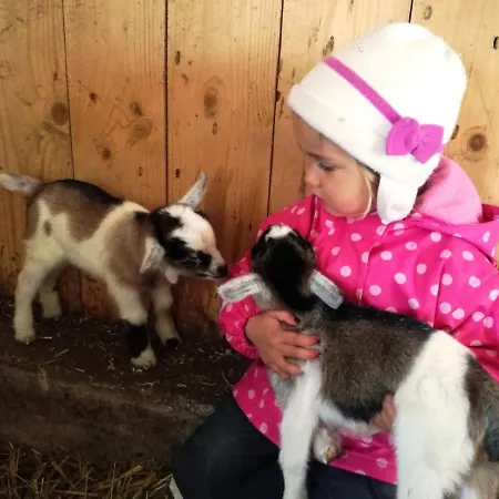 Forsterhof Farm stay *