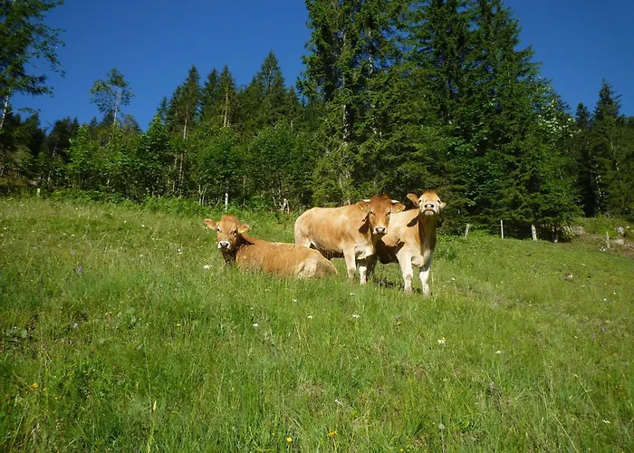 팜스테이 Forsterhof *