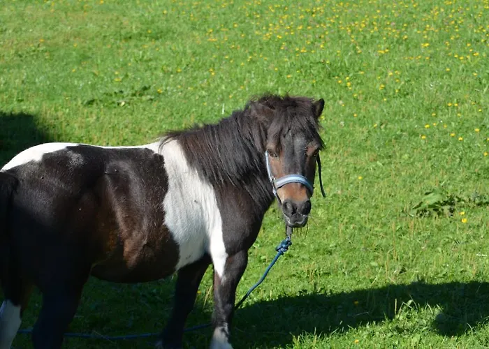 Forsterhof 팜스테이 람자우 암 다흐스타인