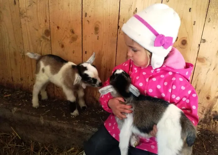 Forsterhof 팜스테이 *